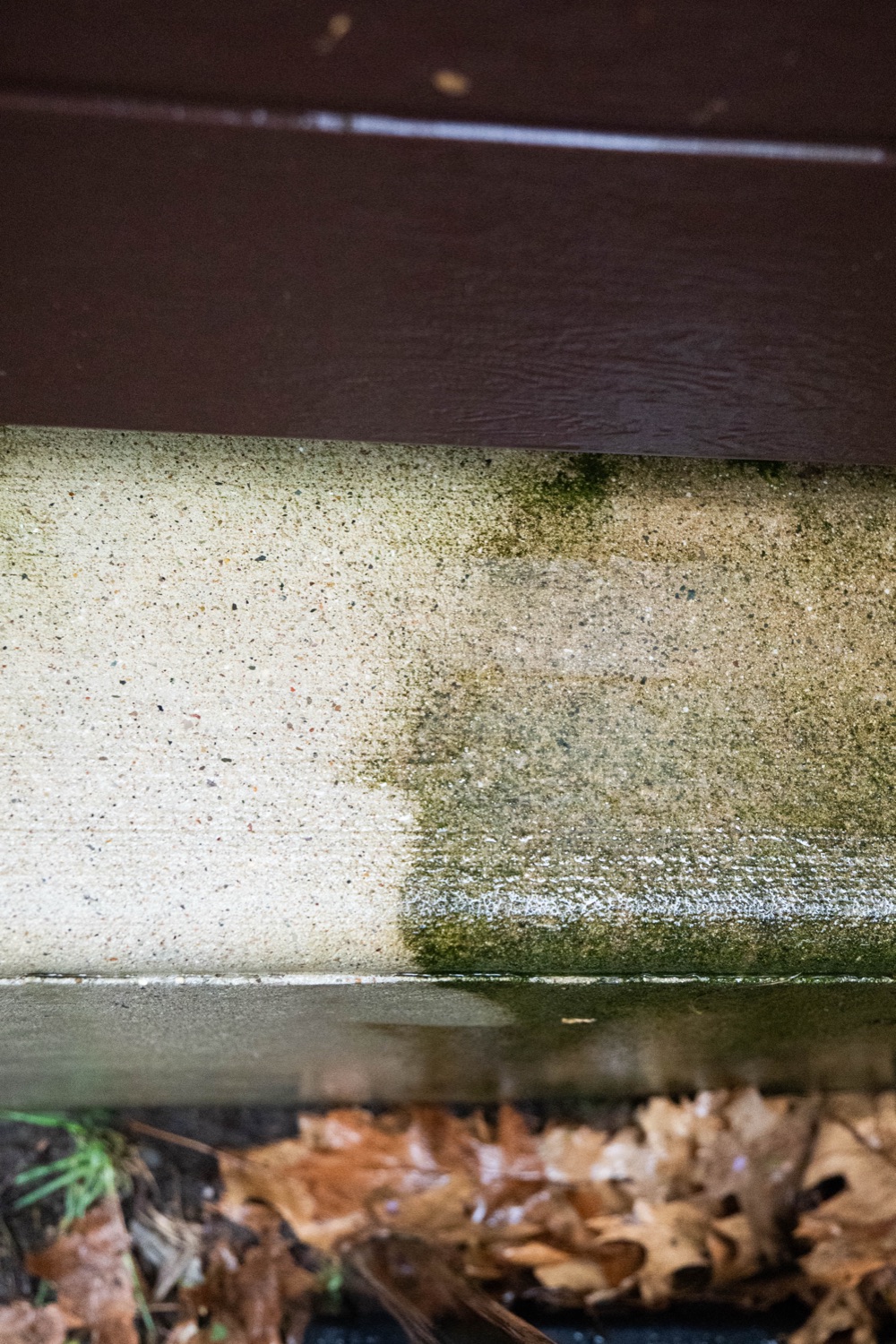 Soft washing in progress — one half cleaned to bright tan, the other still covered in green algae